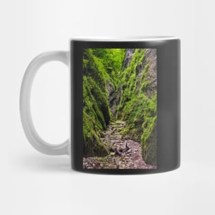 A beautiful view of a narrow wild canyon Mug